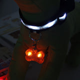 Dog ID Tag With LED Light